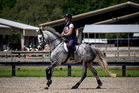 Florida Horse Park POP Show May 18th 2025 - 6164