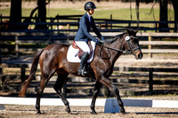 Ocala Derby January 4th 2025 - 9310
