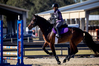 Florida Horse Park POP December 23rd 2024 - 4481