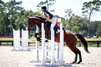 Florida Horse Park POP September 23rd 2024 - 4691