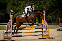 Majestic Oaks Horse Trial May 11th 2025 - 1427