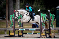 Majestic Oaks Schooling Show December 14th 2024 - 0668