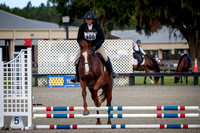 Florida Horse Park POP September 1st 2024 - 6674