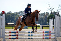 Florida Horse Park POP Halloween Show October 27th 2024 - 0559