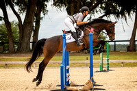 Majestic Oaks Horse Trial May 10th 2025 -3349