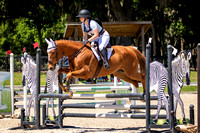Majestic Oaks Schooling Show April 12th 2025 - 2762