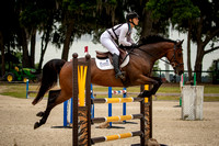 Majestic Oaks Horse Trial May 11th 2025 - 1434