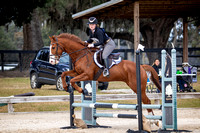 Majestic Oaks Schooling Show December 14th 2024 - 1100
