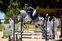 Majestic Oaks Schooling Show April 12th 2025 - 3018