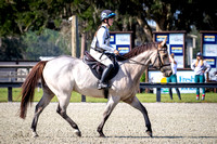 Florida Horse Park POP Halloween Show October 27th 2024 - 9599
