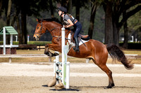 Majestic Oaks Schooling Show December 14th 2024 - 1386