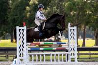 Florida Horse Park POP September 23rd 2024 - 6197