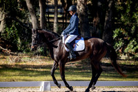 Ocala Derby January 4th 2025 - 9279
