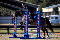 Florida Horse Park POP December 23rd 2024 - 4223
