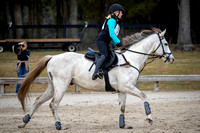 Majestic Oaks Schooling Show December 14th 2024 - 0669