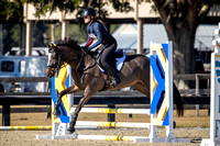 Florida Horse Park POP December 23rd 2024 - 4218