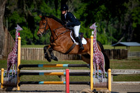 Majestic Oaks Horse Trial March 22nd 2025 - 5899