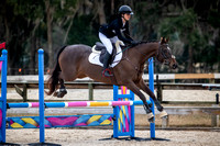 Majestic Oaks Horse Trial January 11th 2025 - 5211