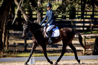 Ocala Derby January 4th 2025 - 9259