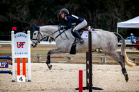 Majestic Oaks Horse Trial January 11th 2025 - 2929
