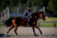 Florida Horse Park POP September 23rd 2024 - 2729